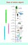 Sizes and dimension of nature objects. educational vector infographic comparing the sizes of nature objects: The largest sequoia t