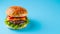 Sizzling Savory Homemade Burger on a Tranquil Blue and White Visualscape