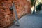 Skateboard leaning against wall made of orange bricks