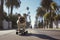 Skateboarding dog. Funny dog rides skateboard on the street in summer city