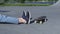 Skateboarding girl falling down at skate park