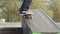 Skater make 50-50 grind down the ledge in skatepark, close-up view in slowmotion