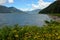 Skeena River and flowers in British Columbia, Canada