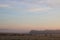 Skeins geese, sheep in fields, sunrise, Pilling, UK