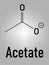 Skeletal formula of Acetate anion, chemical structure.