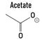 Skeletal formula of Acetate anion, chemical structure