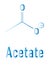 Skeletal formula of Acetate anion, chemical structure.