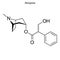 Skeletal formula of chemical molecule