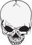 Skeletal human head images for stickers Skeletal human head images for stickers