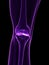 Skeletal knee