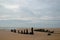 Skeletal Remains of a Shipwreck at Rattray Head