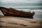 The skeletal remains of a wooden shipwreck on a desolate beach