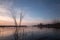 Skeletal tree on a lake at sunset, with beautiful reflections a