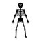 Skeleton. Black Human Bones