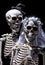 Skeleton bride and groom