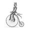 Skeleton in Dandy Clothes on a Retro Bicycle Tattoo