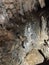 Skeleton Display of Cave Bear in Barac Cave, Croatia