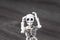 Skeleton figurine holding his head. Worried and frustrated toy, headache, tired, disappointed, shocking concept