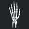 Skeleton hand with bones icon. Vector.