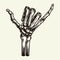 Skeleton hand showing surfer shaka sign