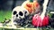 Skeleton head with halloween pumpkins