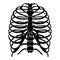 Skeleton Human Rib cage silhouette body bones - sternum, chest, thoracic vertebra, sternum, front Anterior view flat