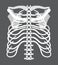 Skeleton icon of radiography and x-ray concept vector for landing page. Trauma, pain, osteoporosis