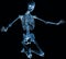 Skeleton kneel x ray