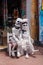 Skeleton in love - Playa del Carmen street, Mexico
