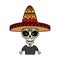 Skeleton mexican with hat