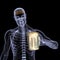 Skeleton X-Ray - Beer