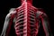 Skeleton with red highlighted back and arms and shoulder. Generative AI