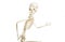 Skeleton running isolated on the white background