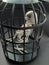 A skeleton of a scary bird in a bird cage a Halloween decoration