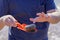 The skeleton of a sea urchin in a red scoop in the hands of a boy