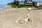 Skeleton sits on the beach watching the ocean