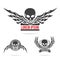 Skeleton skull with wing logo emblem vector illustration element