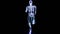 skeleton system of running man, bone Anatomy while run, human physical and sport, joggers, running man,