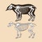 Skeleton tapir vector illustration