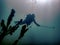 SkeletonDiver captures underwater world on camera in diving gear