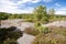Skerry Landscape of Flatoen, Sweden