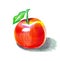 Sketch of apple created with colored pencils.