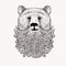 Sketch Bear with a beard. Hand drawn illustration. Doodl