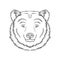 Sketch of bears head, portrait of forest animal black and white hand drawn vector Illustration