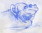 Sketch of a blue frog