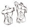 Sketch. Bodybuilding And Powerlifting. Vector Torso of the statue