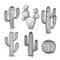 Sketch cactus. Hand drawn desert cactuses. Vintage engraving western mexican plants vector set