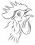 Sketch of a Crowing Rooster