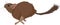 Sketch of Degu rodent pet. Vector Illustration