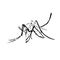 Sketch design of illustration mosquito